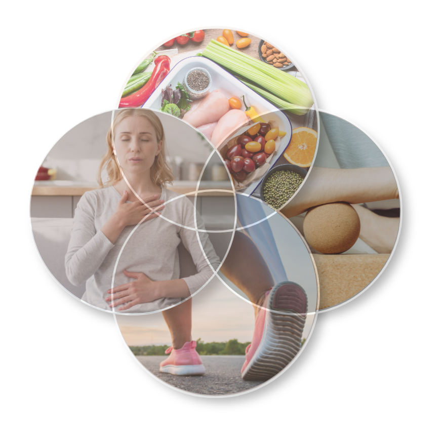 Áreas conectadas del Método VIDA: alimentación, calma, autocuidado corporal y movimiento